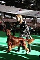 Crufts2011 093